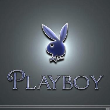 playboy tavşanı